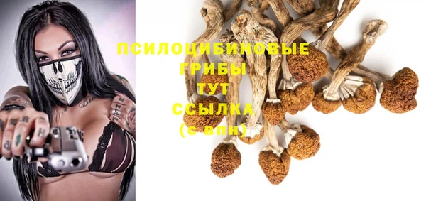 гашик Няндома