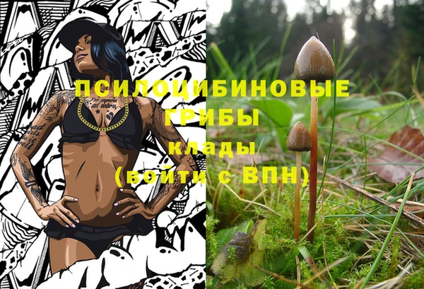 MESCALINE Елизово