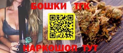винт Гатчина