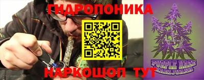 гашик Гай