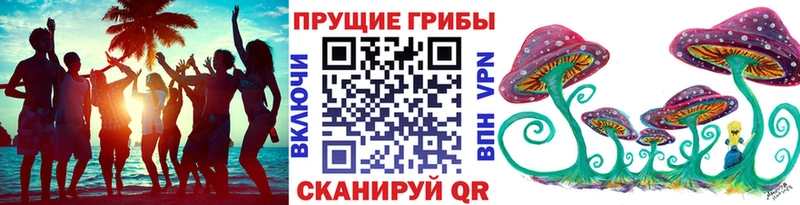 Галлюциногенные грибы Psilocybe  что такое   Заволжье 