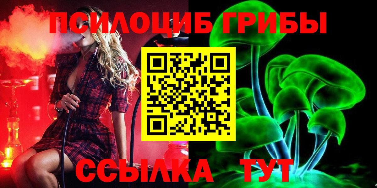 Псилоцибиновые грибы прущие грибы Заволжье